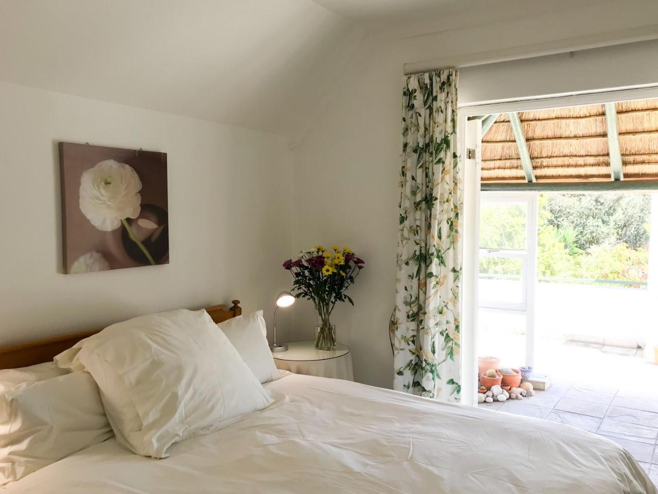 Howards End Manor B&B Fokváros Kültér fotó